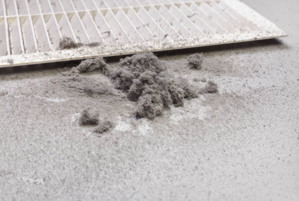 Best Local Air Duct Cleaning Services  in South Beloit, IL