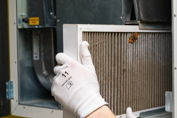 Best Dryer Vent Cleaning Services  in South Beloit, IL